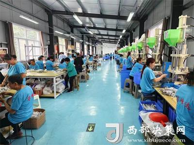 山沟沟里飞出“金线线” 镇巴县巴庙镇的电子技术发展之路